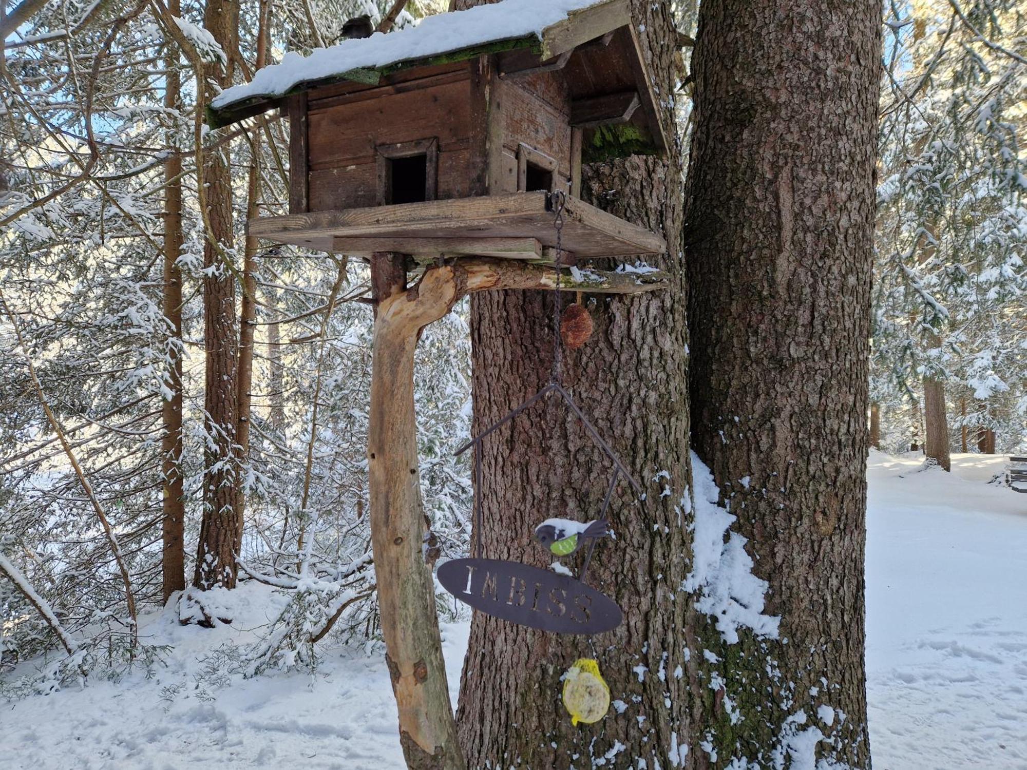 Wohlfuehl-Appartement Bergsee Family - Am Wildsee - Sup Und Schlitten For Free เซเฟลด์ อิน ทิโรล ภายนอก รูปภาพ